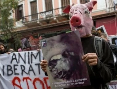 Όταν οι Vegan κάνουν «ντου» στη Βαρβάκειο - Διαμαρτυρήθηκαν με μάσκες γουρουνιών (φωτο)
